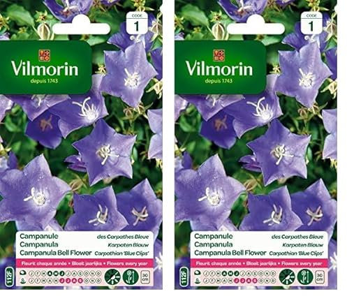Vilmorin 5182541 Campanule Bleu 9 x 0.5 x 16 cm (Lot de 2)