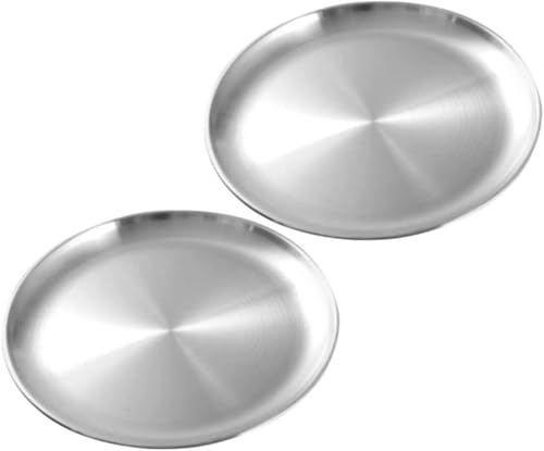 Tonsitian 2Pcs Stainless Steel Dinner Plates, 26cm Round Stainless Steel Lightweight Dishes Plates Set for BBQ Picnics Party Camping Dishwasher Safe and Healthy