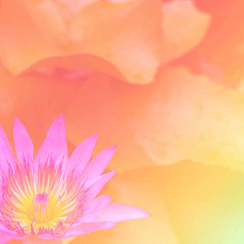 Trio Jazz Soundtrack for Easing Up Morning