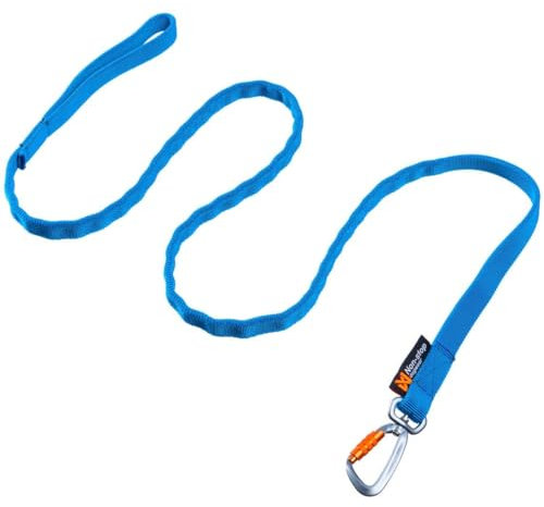 Non-stop dogwear Bungee Leash LTD | Leine für canicross | 1643 | 2m | Farbe:blau