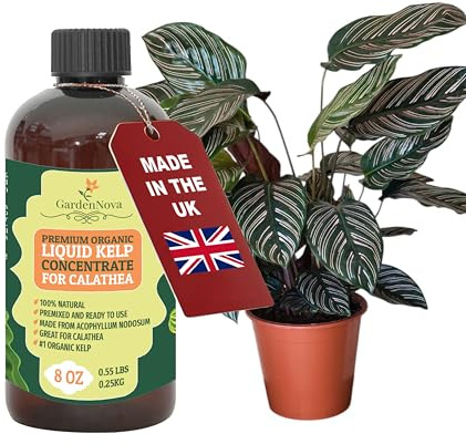 GARDENNOVA Premium Organic Seaweed & Kelp Superfood for CALATHEA Plants - 8 oz - Liquid Kelp Fertilizer Concentrate (Makes 25 Litres)