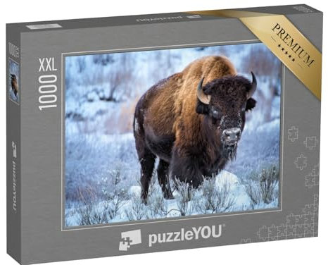 Puzzle 1000 Teile XXL „Amerikanischer Bison kauert bei Schnee, Winter, Yellowstone-Nationalpark“ – aus der Puzzle-Kollektion Bisons, Tiere des Nordens