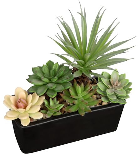 Arborus 18cm Artificial Succulent Plants Faux Mix Succulents in Black Ceramic Pot Artificial Succulents Potted Indoor Fake Plants in Rectangular Pot for Office Home Bathroom Shelf Decor