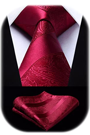 HISDERN Herren Krawatte Taschentuch Paisley Krawatte & Einstecktuch Set Blumen Jacquard Gewebt Schlips Einfarbig (Burgund)