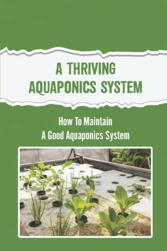 A Thriving Aquaponics System: How To Maintain A Good Aquaponics System