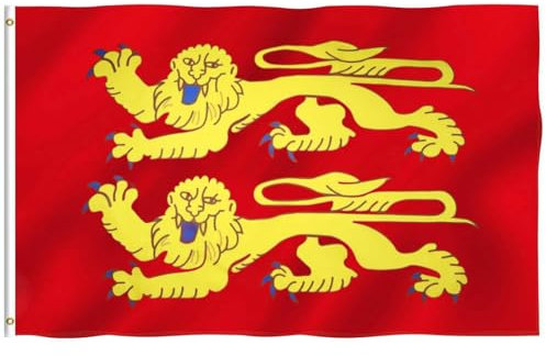 Hollylife Drapeau de la Basse-Normandie 150 x 90 cm Drapeau Bas-Normand avec 2 œillets Métalliques Grand Drapeau France Flag Fanion Tissue Parfait Pour Festivals Manif Decoration Extérieur Jardin