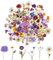 120 adesivi floreali per scrapbook,adesivi fiori naturali, adesivi estetici per scrapbook, set di adesivi floreali trasparenti per scrapbooking, artigianato, biglietti, computer portatili, (60 stili)