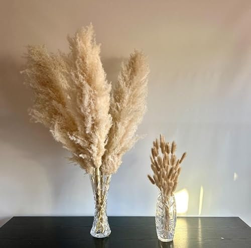 10 Stück Pampasgras Groß Beige, Naturprodukt - inkl. Hasenschwanzgras Bündel - Trockenblumenstrauß für Boho Deko, Wohnzimmer, Schlafzimmer, Hochzeit, Flur – Tashas Corner