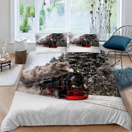 Schnee-Dampfzug Bettwäsche 135x200 cm Eisenbahn Bettwäsche-Sets Superweich Mikrofaser 3 Teilig Haben 1 Bettbezug und 2 Kissenbezug 80×80cm mit Reißverschluss G.1141
