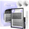 BEYELIAN Pestañas Postizas Cluster Lash Kit D+ Curl 156 Pcs Cluster Lashes, Individual Lash Kit Lash Clusters, Eyelash Applicator Tool, Bond and Seal Lash Kit Remover (Twin Flowers+Luxury)