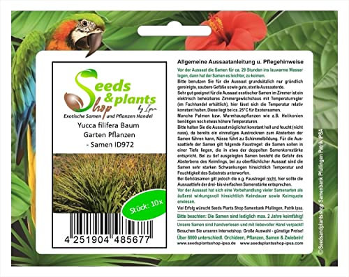 Stk - 10x Yucca filifera Baum Garten Pflanzen - Samen ID972 - Seeds & Plants Shop by Ipsa