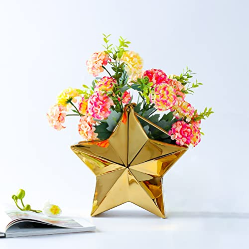 Hosoncovy Star Shaped Ceramic Small Desktop Vase Flower Vase Plant Pot Room Decorative Vase