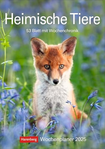 Heimische Tiere - Wochenplaner 2025 - Harenberg-Verlag - 54 Blatt mit großformatigen Tieraufnahmen und viel Platz für Notizen - Wandkalender - 25 cm x 35,5 cm