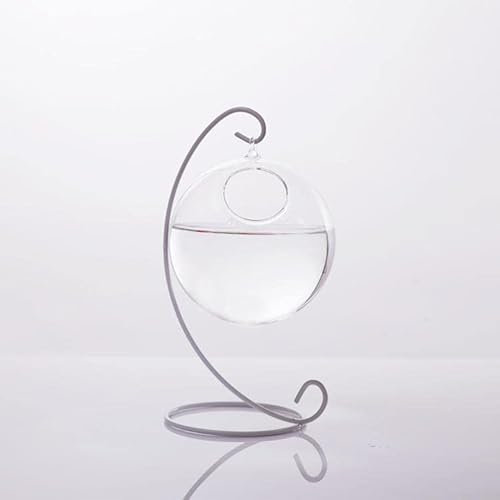 Tiuimk Creative Hanging Transparent Glass Vase, Small Bottle, 10cm Diameter for Home and Office Decor