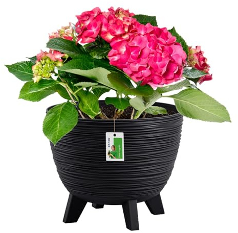 Blumentopf mit Füßen 5l - 230 x 190 mm - Pflanzkübel auf Beinen Übertopf aus Plastik Topf skandinavischen Design, Anthrazit
