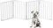 Petmaker Cancello per animali domestici – Recinzione per cani pieghevole per interni a 4 pannelli per scale, corridoi o porte, 183 x 61 cm, retrattile, in legno, autoportante (bianco)