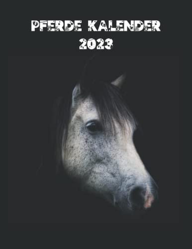 Kalender 2023: wandkalender 2023 I postkartenkalender 2023 I pferde kalender groß format A4
