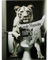 Kare Design Wandbild Bath Löwin, Grau, Rechteckig, Glasbild, 4mm ESG Sicherheitsglas, Tierisches Design, Löwe, Wandkunst, Schlafzimmer, Glas, 80x60 cm (H/B)