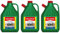 3 x Grünbelagentferner 5 Liter Flora Sparpaket