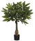 MICA Decorations Plante Artificielle pachira en Pot - H60 x Ø60 cm - Vert