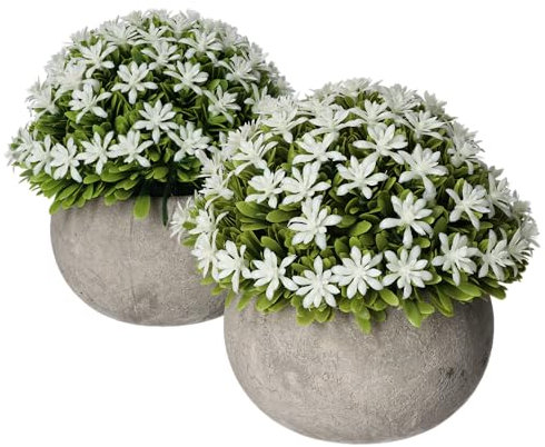 Sherveer Kunstpflanze im Topf Jasmin Buchsbaum (2 Stück) B:13cm x H:13cm künstliche Pflanze im Steinoptik Tontopf - Kunstblumen Pflegeleichte Deko für Gastro, Büro, Hotel