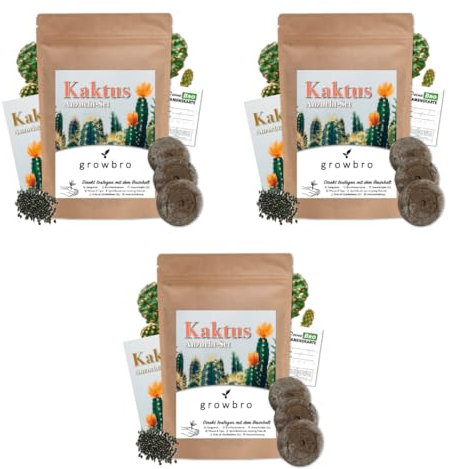 3 X KAKTUS Light Anzuchtset von growbro - Züchte deinen neuen BRO # Kaktus klein # Kaktus Pflanze # Kaktus Samen # Nachhaltige Geschenke