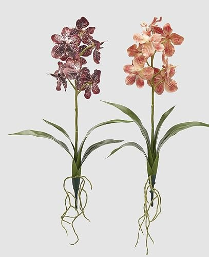 EDG Enzo De Gasperi Enzo De Gasperi Busch Orchidee Vanda künstlich mit Blatt H 70 cm Ass. Orange Mix 1 Stück
