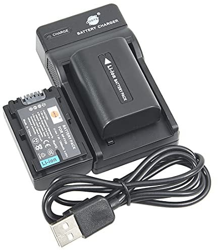 DSTE NP-FV50 Camera Battery (2-pack) and Charger Compatible with Sony HDR-CX380,HDR-CX430V,HDR-CX900,HDR-CX260V,HDR-CX580V,HDR-CX760V,HDR-PJ200