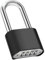 Cadenas Code 4 Chiffres, Diyife 52mm Cadenas Extérieur Etanche, Robuste et Antivol, 8mm Loquet Cadenas à Combinaison, Exterieur Serrure Porte de Garage, pour Cours, Porte, Clôture, Casier - Long