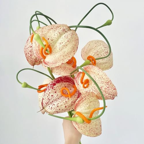 30 pcs Anthurium clarinervium samen - grünpflanzen，Wunderschön leuchtende Blumen mit flamingoblume, luftreinigende pflanzen，schnittblumen samen samen anzucht，kübelpflanzen geschenke