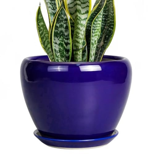 Ceramicfor Keramik-Pflanztopf – 20,3 cm Pflanztopf mit Ablaufloch und Untersetzer, Sukkulentententententopf, Glasur, runder Blumentopf für Innen- und Außenbereich, Blau