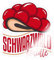 Spreadshirt Schwarzwald Maidle Bollenhut Schwarzwald Geschenk Frauen Sticker, max. 10x10 cm, 10 x 10 cm, Transparent glänzend
