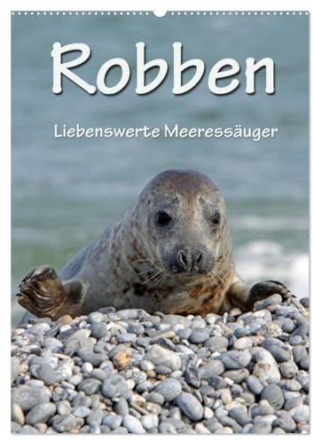 Robben (Wandkalender 2026 DIN A2 hoch), CALVENDO Monatskalender: Liebenswerte Meeressäuger (CALVENDO Glaube)