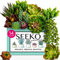 Seeko Lot de 14 Plantes succulentes artificielles de qualité supérieure – Plantes succulentes réalistes – Décorations Grasses texturées sans Pot pour Bricolage – Plantes artificielles