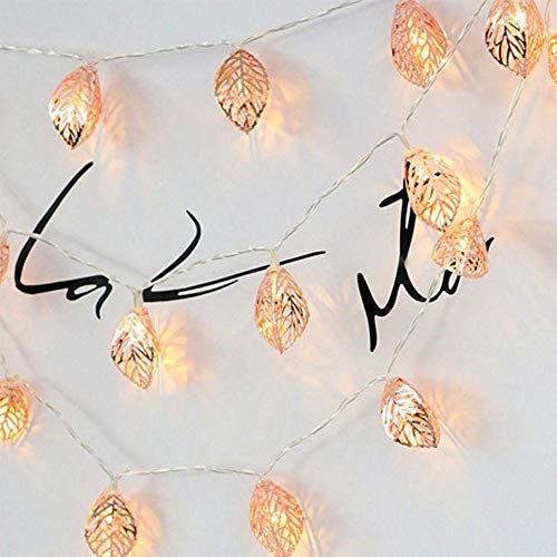 Wankd Lichterkette federn, LED-Lichterkette, Metall, 1,5M, 10 LEDs, Rotgold, Federform, batteriebetrieben, für Innenbereich, Schlafzimmer, Hochzeit, Party, Dekoration, Warmweiß
