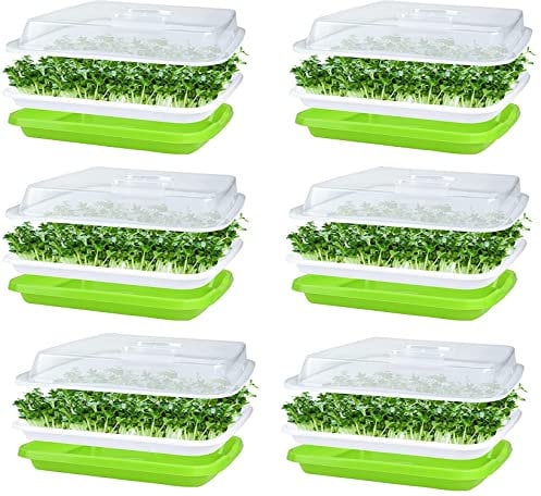 KAHEIGN 6Pz Vassoi per la Germinazione Dei Semi con Coperchio, 32cm x 26cm Vassoio di Germinazione di Grande Capacità Senza BPA Propagatore Idroponico Sano Con 24 Carte per Piantare