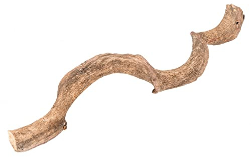 NaDeco Drachen Liane in Natur, Länge ca. 60cm, Durchmesser ca. 2-3cm | Drachen Rattan Holz | Curly Vine | Deko Lianenholz | Dschungel Deko | Dekowurzel