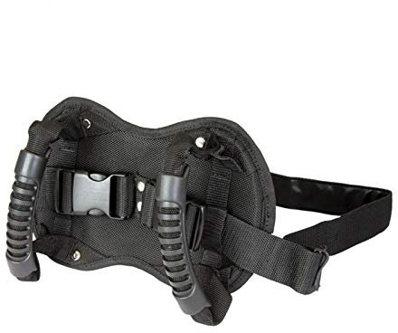 QOTSTEOS Motorcycle Passenger Safety Belt, Oxford Motorcycle Pillion Grab Handles, Adjustable Non-Slip Protection Motorcycle Strap, Universal Motorcycle Seat Strap for Children