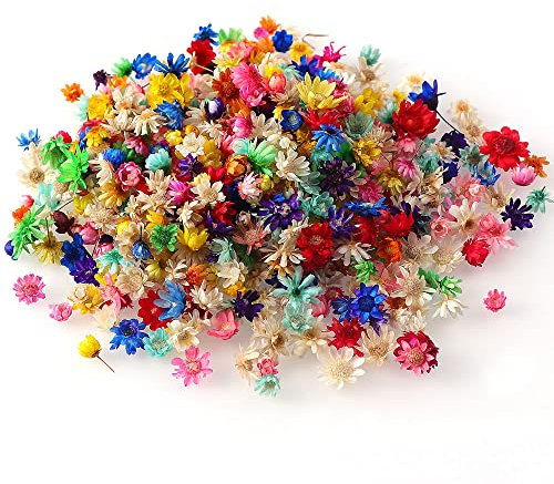 yufana Naturales Flor,200 Piezas Flores Secas Boda, Flores Secas Decoracion, Flores Secas Pequeñas, En Caja, Epoxi de Cristal, para Hacer Papel de Regalo, Adornos Artesanales, Invitaciones de Boda