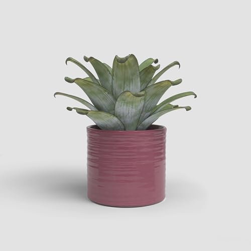 Artevasi Fortuna - Maceta de cerámica con Acabado esmaltado (21 cm), Color Rosa