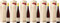 Schloss Johannisberg Riesling Gelblack trocken 2022 Trocken (6 x 1.5 l)