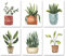 Plant Prints Wall Art Poster Boho Decor for Living Room, 11x14 Unframed Poster Canvas Prints Set of 6, Plant Posters Aesthetic Green Decor