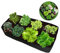 Bolsa de cultivo de flores de jardín de tela extra grande, 180 x 90 x 30 cm, bolsa de plantación de verduras, macetas elevadas para jardín al aire libre, 8 rejillas de tela para verduras, plantas,