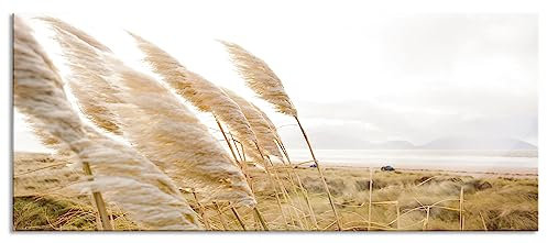 Pixxprint Glasbild Panorama, Wandbild aus Echtglas, Schönes Schilf in den Dünen, 100x40 cm, inkl. Aufhängung und Abstandshalter