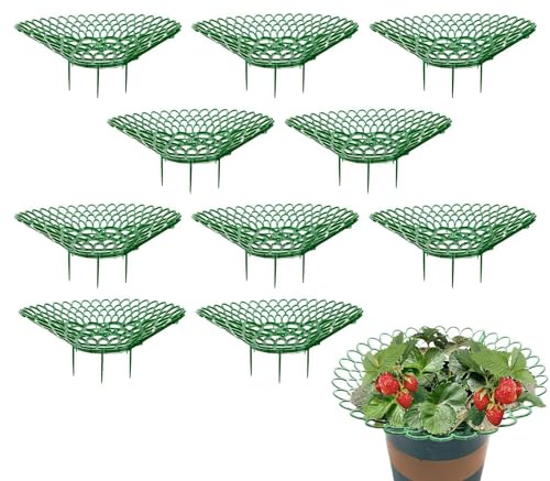 Yonuaret Erdbeerstützen Ständer, Erdbeerregal, Erdbeeren Vor Staub Und Schnecken Schützen Rankhilfe Für Erdbeeren,Erdbeerreifer Set Pflanzenunterstützung Balkon Erdbeernetze,S/L
