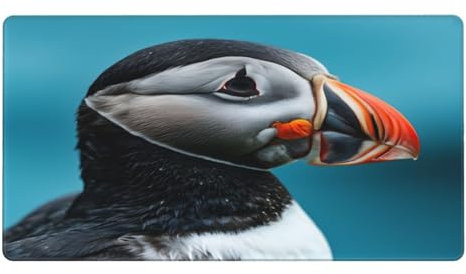 Auk Close-Up Pad Rutschfeste Gummiunterseite Mousepads für Büro, Zuhause, Laptop, Reisen, 74,9 x 40,1 cm