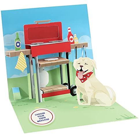 Pop Up 3D Karte Geburtstag Popshot Grußkarte Grillen Barbecue Hund 13x13cm