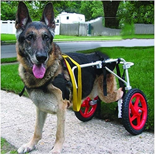 KITCISSL Pet Wagenhunde Gehhilfe für Hunde Hinten Hunderollstuhl, Premium Hund Rollstuhl für Große Hunde Verbesserte Hunderäder für Hinterbeine Rehabilitation, Walkin-räder (Size : A Large)