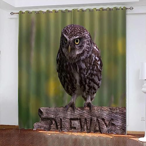 Undurchsichtig Gardine Tierische Eule 3D-Digitaldruckvorhänge Für Balkontür Mit Ösen 2Er Set Schlaufenvorhang Wohnzimmer Schlafzimmer Kinderzimmer E