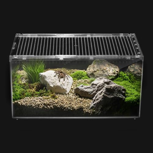 Clioran Reptile PC Terrarium,Tarantula Enclosure,Spider Tank Starter Kit,Leopard Gecko Container,Hermit Crab Habitat,Lizard Enclosure,Insect Housing,Jumping Spider Cage,Small Bearded Dragon Vivarium S